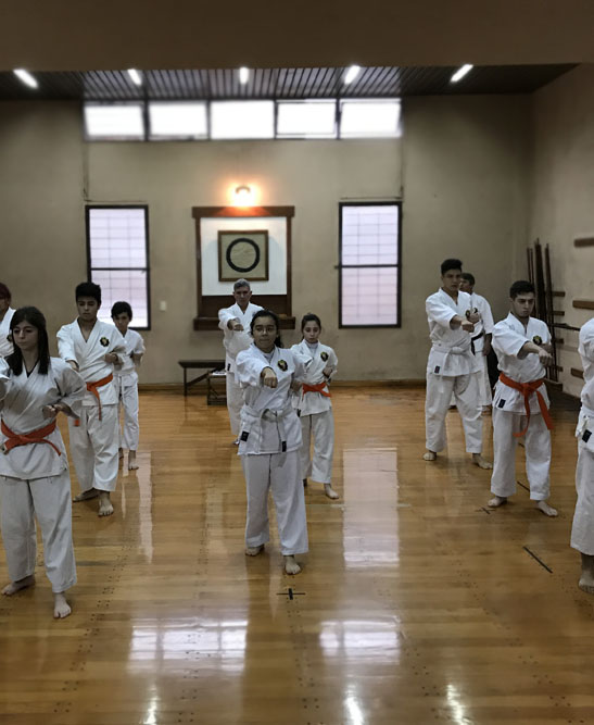 karate Matsubayashi Ryu